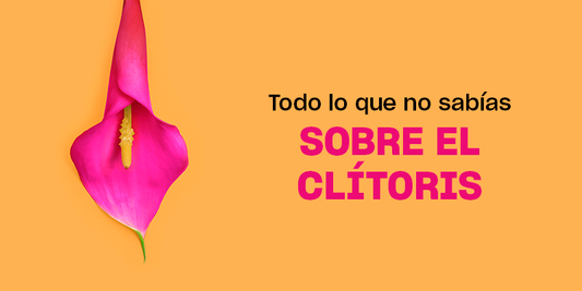 Nuevas informaciones sobre el clítoris