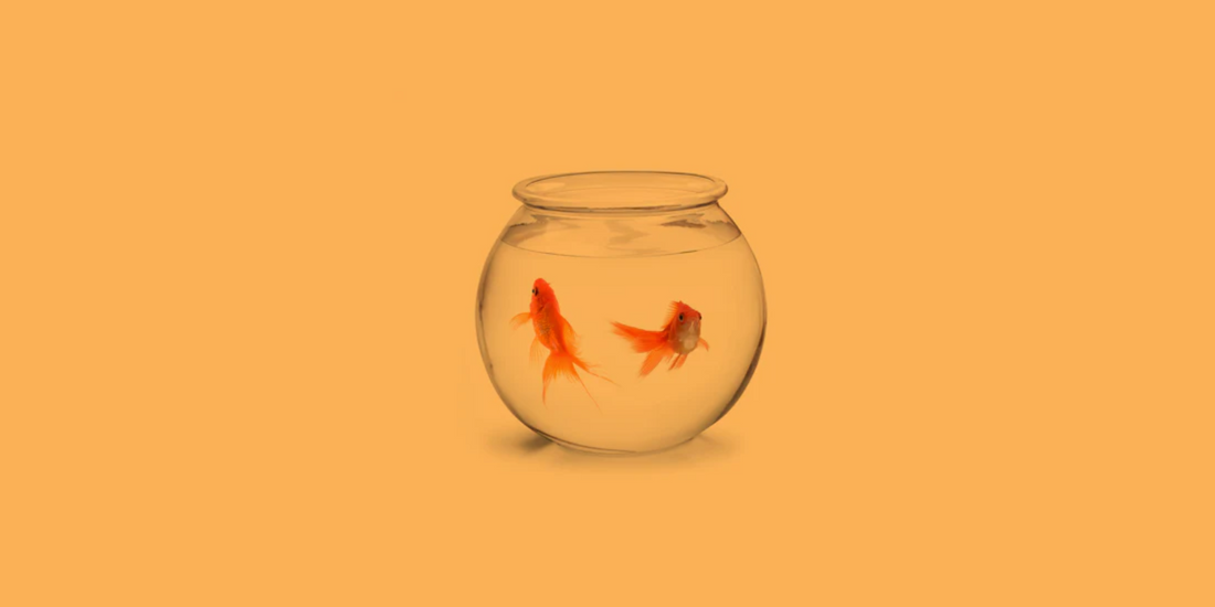 10 retos para innovar con tu pareja