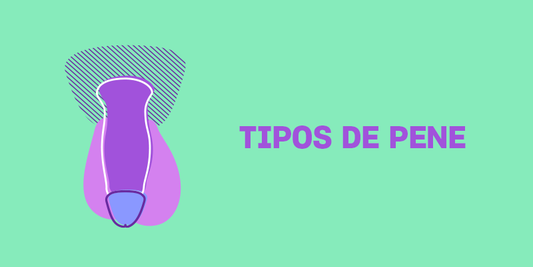 TIPOS DE PENE