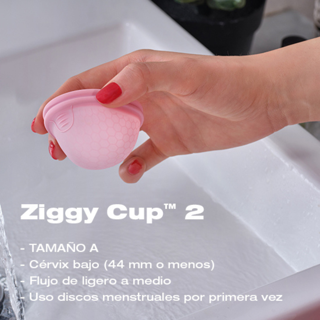 Ziggy Cup Disco menstrual Intimina 3